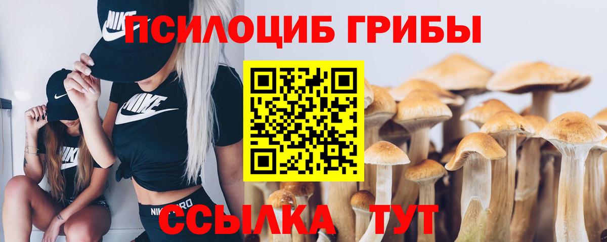 Псилоцибиновые грибы мухоморы Назрань